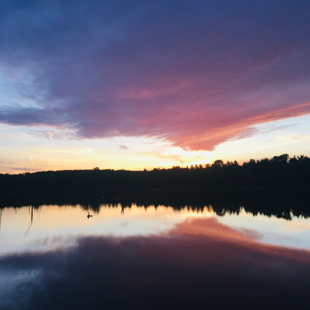 Meet your Posher, Yamilet